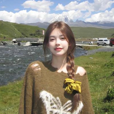 包青天之开封奇案